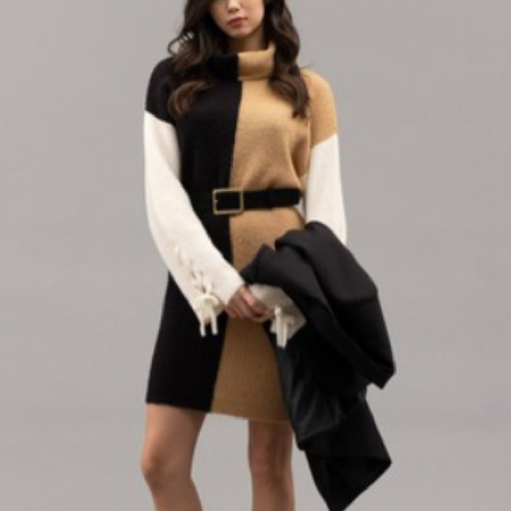 Bell Sleeve Color Block Sweater Dress
